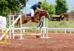 Foto de la galería: El futuro de la equitación, en un certamen de primer nivel