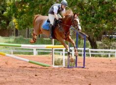 Foto de la galería: El futuro de la equitación, en un certamen de primer nivel