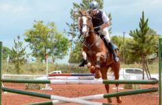 Foto de la galería: El futuro de la equitación, en un certamen de primer nivel