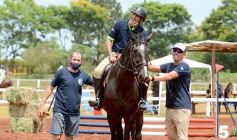 Foto de la galería: El futuro de la equitación, en un certamen de primer nivel