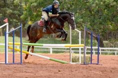 Foto de la galería: El futuro de la equitación, en un certamen de primer nivel