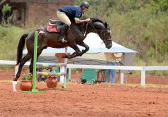 Foto de la galería: El futuro de la equitación, en un certamen de primer nivel