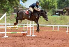 Foto de la galería: El futuro de la equitación, en un certamen de primer nivel