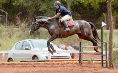 Foto de la galería: El futuro de la equitación, en un certamen de primer nivel