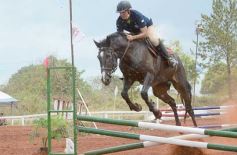 Foto de la galería: El futuro de la equitación, en un certamen de primer nivel