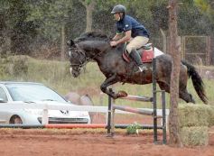 Foto de la galería: El futuro de la equitación, en un certamen de primer nivel