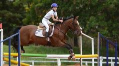 Foto de la galería: El futuro de la equitación, en un certamen de primer nivel