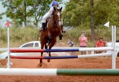 Foto de la galería: El futuro de la equitación, en un certamen de primer nivel