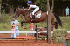 Foto de la galería: El futuro de la equitación, en un certamen de primer nivel