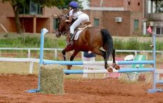Foto de la galería: El futuro de la equitación, en un certamen de primer nivel