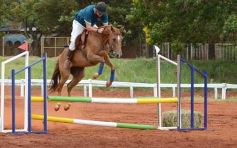 Foto de la galería: El futuro de la equitación, en un certamen de primer nivel