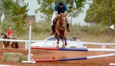 Foto de la galería: El futuro de la equitación, en un certamen de primer nivel
