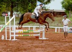 Foto de la galería: El futuro de la equitación, en un certamen de primer nivel