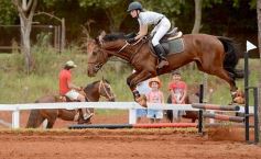 Foto de la galería: El futuro de la equitación, en un certamen de primer nivel