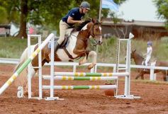 Foto de la galería: El futuro de la equitación, en un certamen de primer nivel