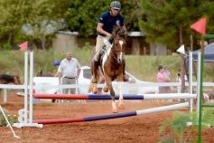 Foto de la galería: El futuro de la equitación, en un certamen de primer nivel