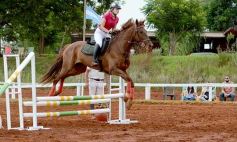 Foto de la galería: El futuro de la equitación, en un certamen de primer nivel