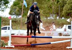 Foto de la galería: El futuro de la equitación, en un certamen de primer nivel