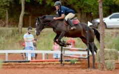 Foto de la galería: El futuro de la equitación, en un certamen de primer nivel