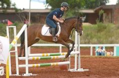 Foto de la galería: El futuro de la equitación, en un certamen de primer nivel