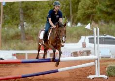 Foto de la galería: El futuro de la equitación, en un certamen de primer nivel