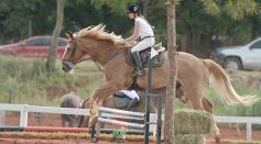 Foto de la galería: El futuro de la equitación, en un certamen de primer nivel