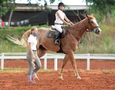 Foto de la galería: El futuro de la equitación, en un certamen de primer nivel