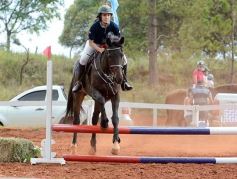 Foto de la galería: El futuro de la equitación, en un certamen de primer nivel