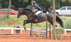 Foto de la galería: El futuro de la equitación, en un certamen de primer nivel