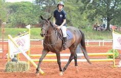 Foto de la galería: El futuro de la equitación, en un certamen de primer nivel