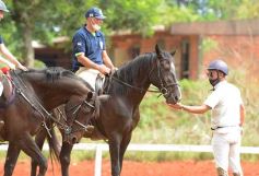 Foto de la galería: El futuro de la equitación, en un certamen de primer nivel