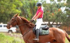 Foto de la galería: El futuro de la equitación, en un certamen de primer nivel