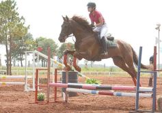Foto de la galería: El futuro de la equitación, en un certamen de primer nivel