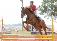 Foto de la galería: El futuro de la equitación, en un certamen de primer nivel