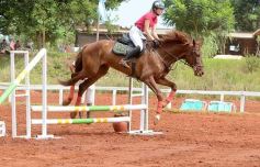 Foto de la galería: El futuro de la equitación, en un certamen de primer nivel