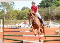 Foto de la galería: El futuro de la equitación, en un certamen de primer nivel