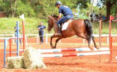 Foto de la galería: El futuro de la equitación, en un certamen de primer nivel