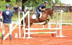 Foto de la galería: El futuro de la equitación, en un certamen de primer nivel