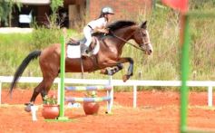 Foto de la galería: El futuro de la equitación, en un certamen de primer nivel