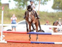 Foto de la galería: El futuro de la equitación, en un certamen de primer nivel