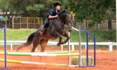 Foto de la galería: El futuro de la equitación, en un certamen de primer nivel