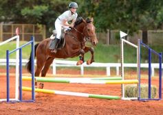 Foto de la galería: El futuro de la equitación, en un certamen de primer nivel