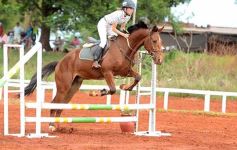 Foto de la galería: El futuro de la equitación, en un certamen de primer nivel
