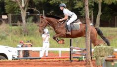 Foto de la galería: El futuro de la equitación, en un certamen de primer nivel