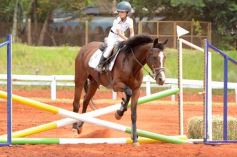 Foto de la galería: El futuro de la equitación, en un certamen de primer nivel