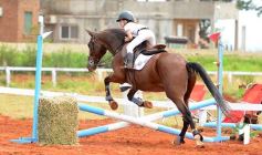 Foto de la galería: El futuro de la equitación, en un certamen de primer nivel