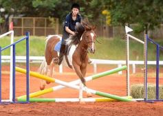 Foto de la galería: El futuro de la equitación, en un certamen de primer nivel
