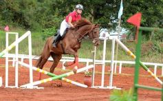 Foto de la galería: El futuro de la equitación, en un certamen de primer nivel