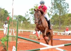 Foto de la galería: El futuro de la equitación, en un certamen de primer nivel