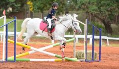 Foto de la galería: El futuro de la equitación, en un certamen de primer nivel